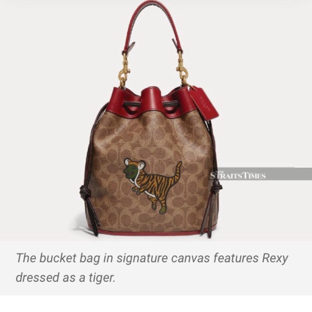 DOES ANYONE HAVE THIS BAG FOR SALE???